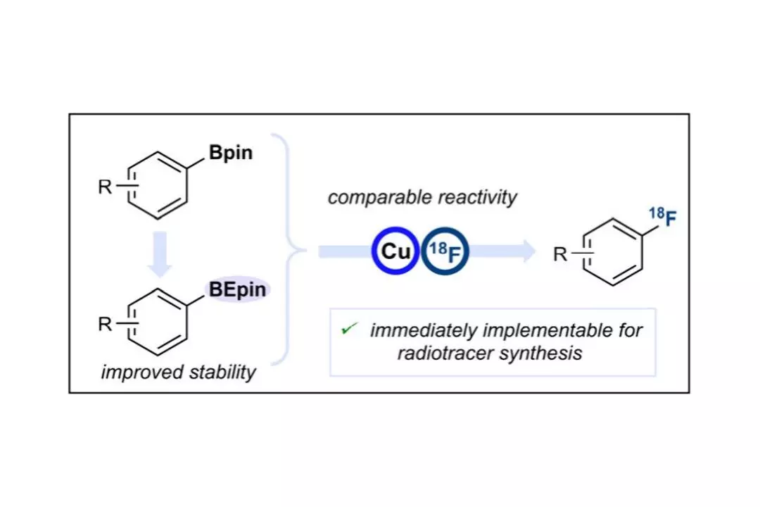 bepin